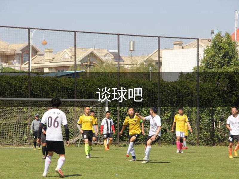 谈球吧概况